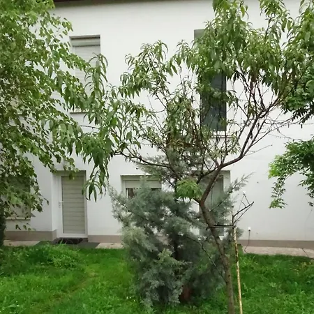 Panda Esztergom